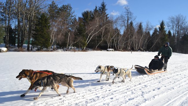 Skytop Lodge sled dogs