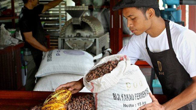 Conrad Bali cacao tour