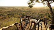 10 Things To Know Before Booking a Kenyan Safari