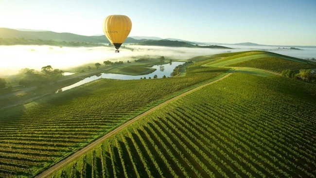 Yarra Valley hot air balloon