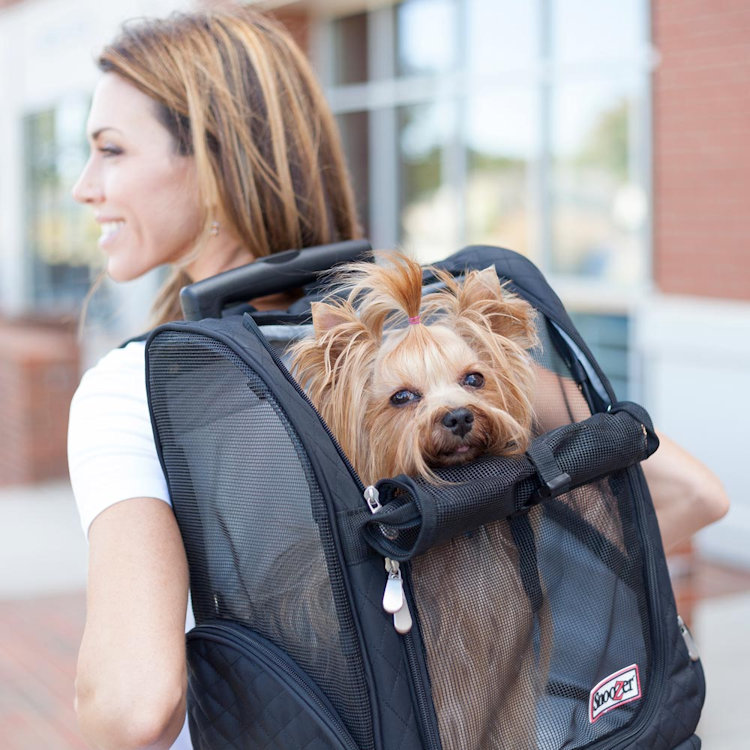 Snoozer pet carrier