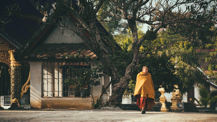 Luang Prabang monk