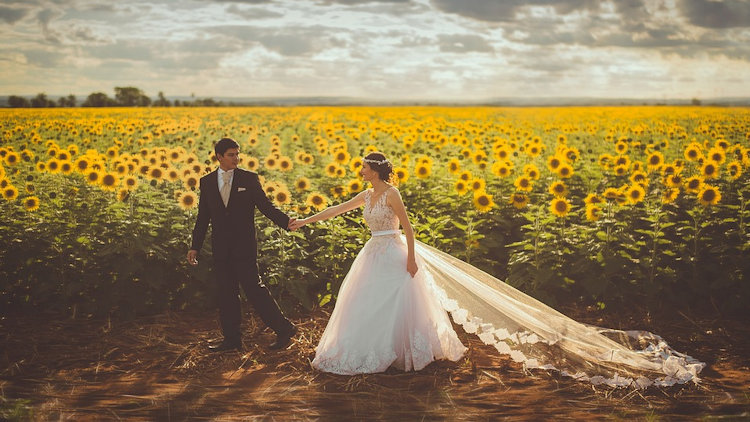 wedding sunflowers