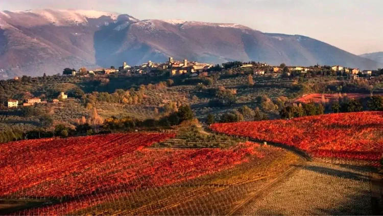 Umbria: Montefalco, Spello, and Assisi