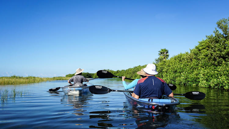 Tampa kayaking