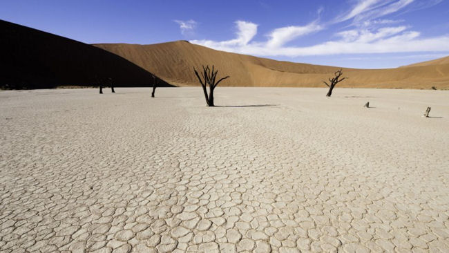 Little Kulala desert landscape