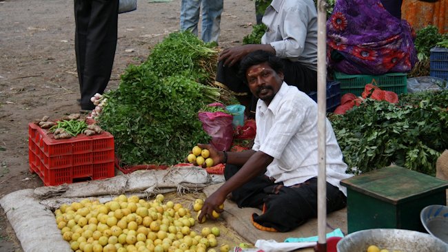Chennai Bazaar