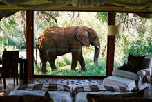 AFRICA