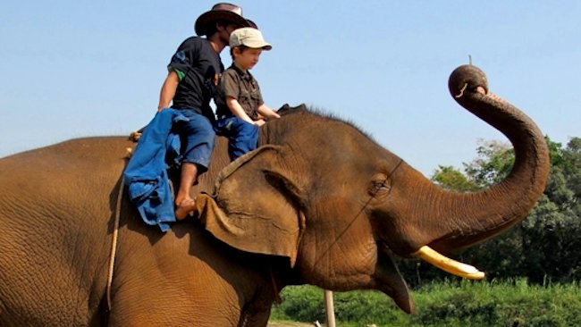 Anantara Golden Triangle Resort & Spa elephant camp