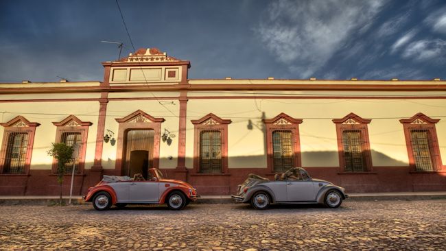 The Traveling Beetle in Mexico