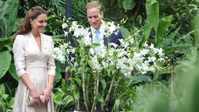 Will and Kate admiring orchid named after Princess Diana