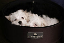Sleepypod Pet Carriers