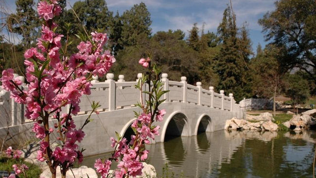 Pasadena California Chinese Garden