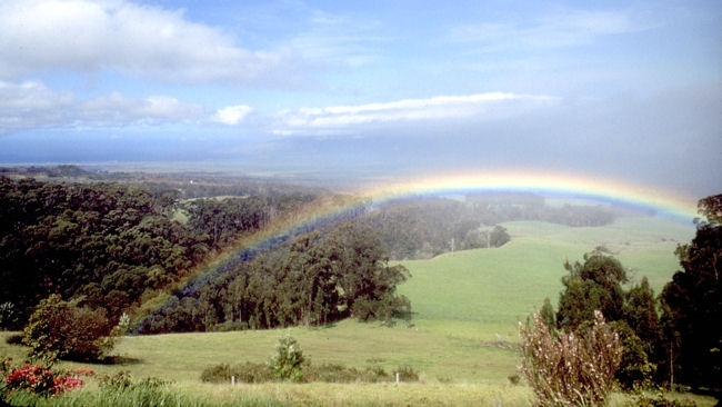 Maui upcountry rainbow