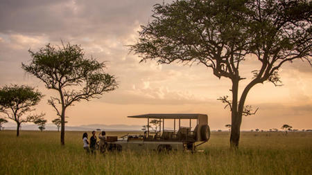 Discover the Wonders of Tanzania on a Safari: Everything You Need to Know