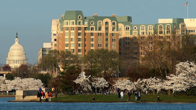 Mandarin Oriental, Washington D.C. Celebrates Cherry Blossom Festival