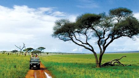 Great Safaris Offers Limited Time Family Spring Break Special to Tanzania