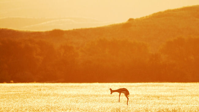 Namibia - A Destination of Contrasting Beauty