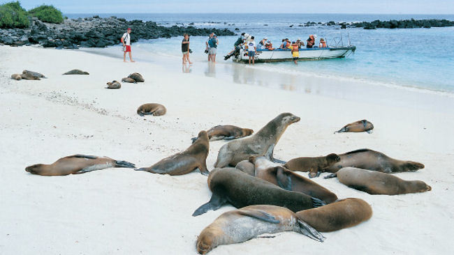 Discover the Galapagos with Aurora Expeditions