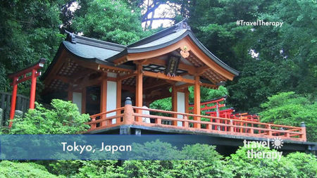 VIDEO: Top Things to do in Tokyo