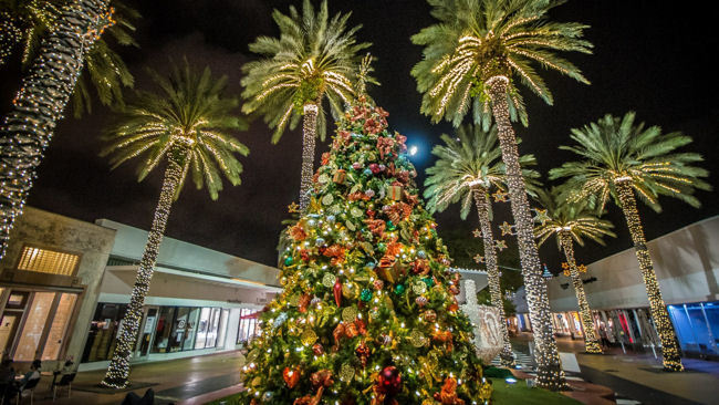 Miami Beach Hosts Seasonal Holiday Offerings 