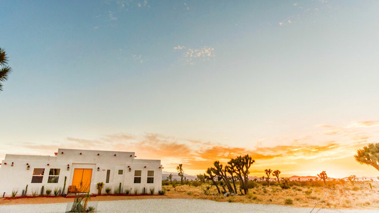 Introducing Wild Wolf Ranch - Joshua Tree’s Eclectic Desert Hacienda Retreat