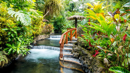 Revitalize Your Relationship in Romantic Costa Rica