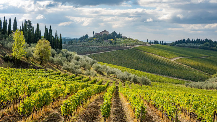 Red Savannah Introduces E-Biking Day Trips in Tuscany