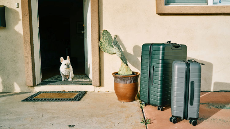 Choose Your Suitcase Wisely to Travel Light: Here's How