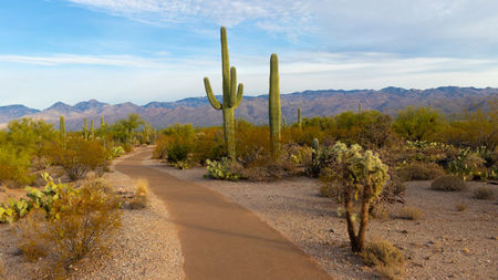 10 Top Places to Live in Arizona