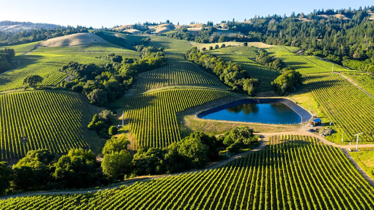 6-day Napa Valley Wine + Cycling Getaway