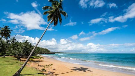 Luxurious Adventures Await: Exploring the Dominican Republic with E-Tickets
