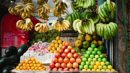 The Nomad's Guide to Mindful Eating and Wellness on the Road