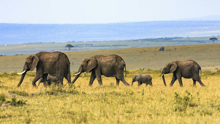 Things You Should Know as a Traveler Before Going on a Trip to Africa