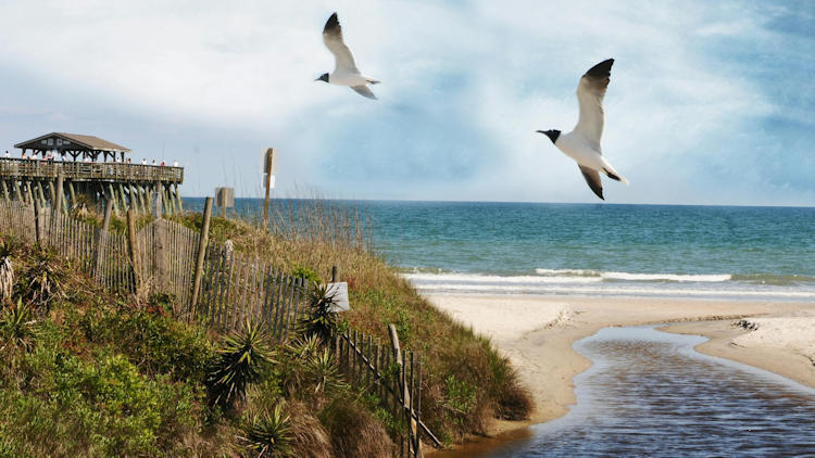 7 Things to See in Virginia Beach