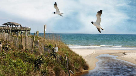 7 Things to See in Virginia Beach