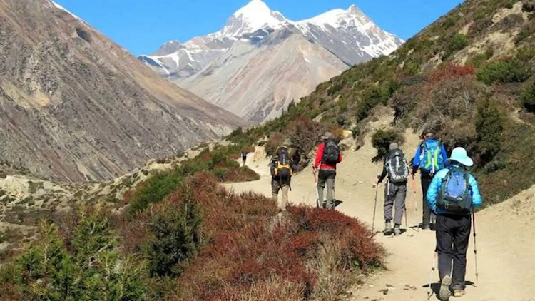 Hiking the Himalayas: Which Treks Are Visitors' Favorites?