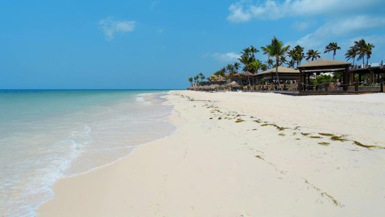 Planning a Trip to Aruba? Here's How the ED Card Makes It Easier Than Ever