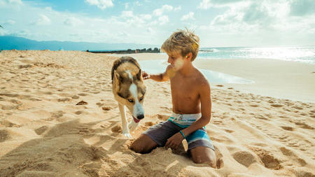 Because Pets Deserve a Getaway Too: Where Style Meets Comfort for All