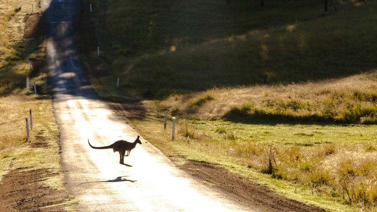 Your Guide to Two-Wheel Adventures Across the Land Down Under