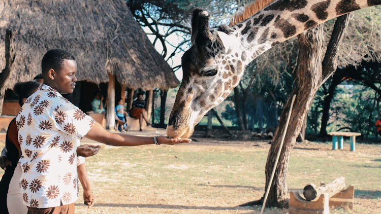 Discover Kenya: A Safari That Will Change Your Life