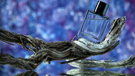 Luxury Women's Perfumes for Every Season: Fragrance Picks for Winter, Spring, Summer, & Fall
