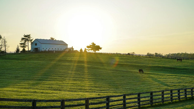 10 Must-See Lexington, Kentucky Attractions for Every Visitor
