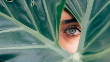 Why Expertise Matters More Than Ever in a World Full of Options