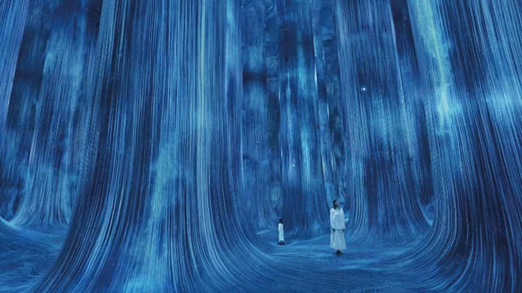 Inside teamLab Phenomena: How the Art Changes With You