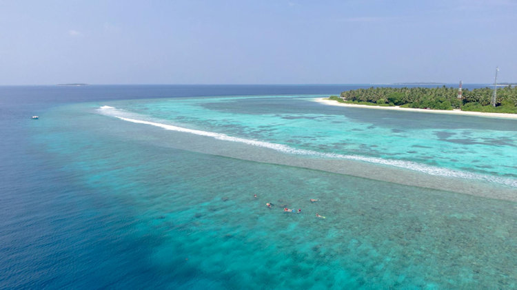 Underwater Ecosystems of the Maldives: Coral Reefs, Marine Life, and the Science Behind Their Biodiversity 
