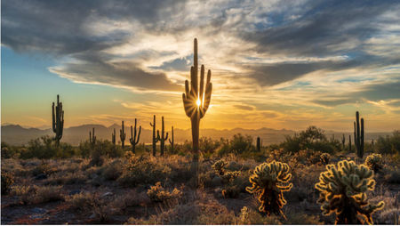 Top 10 Bucket-List Luxury Experiences in Phoenix You Need to Try 