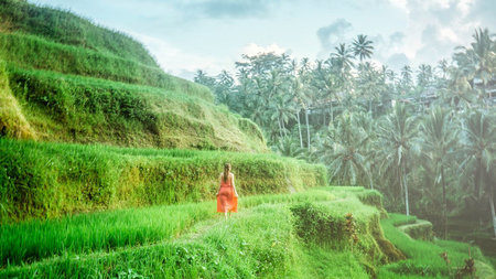 How to Plan Your Perfect Summer Trip to Bali