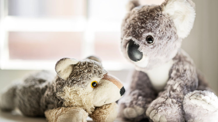 Australian Souvenir Shopping Online: How Hotel Gifts Reach Your Door