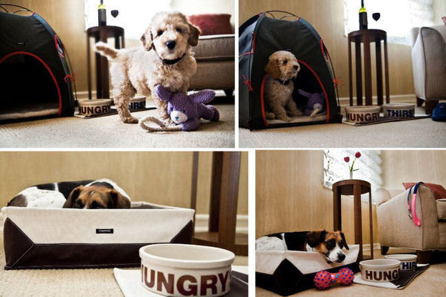 Jet Set Pet: New York's Jumeirah Essex House Introduces Canine Turndown Program